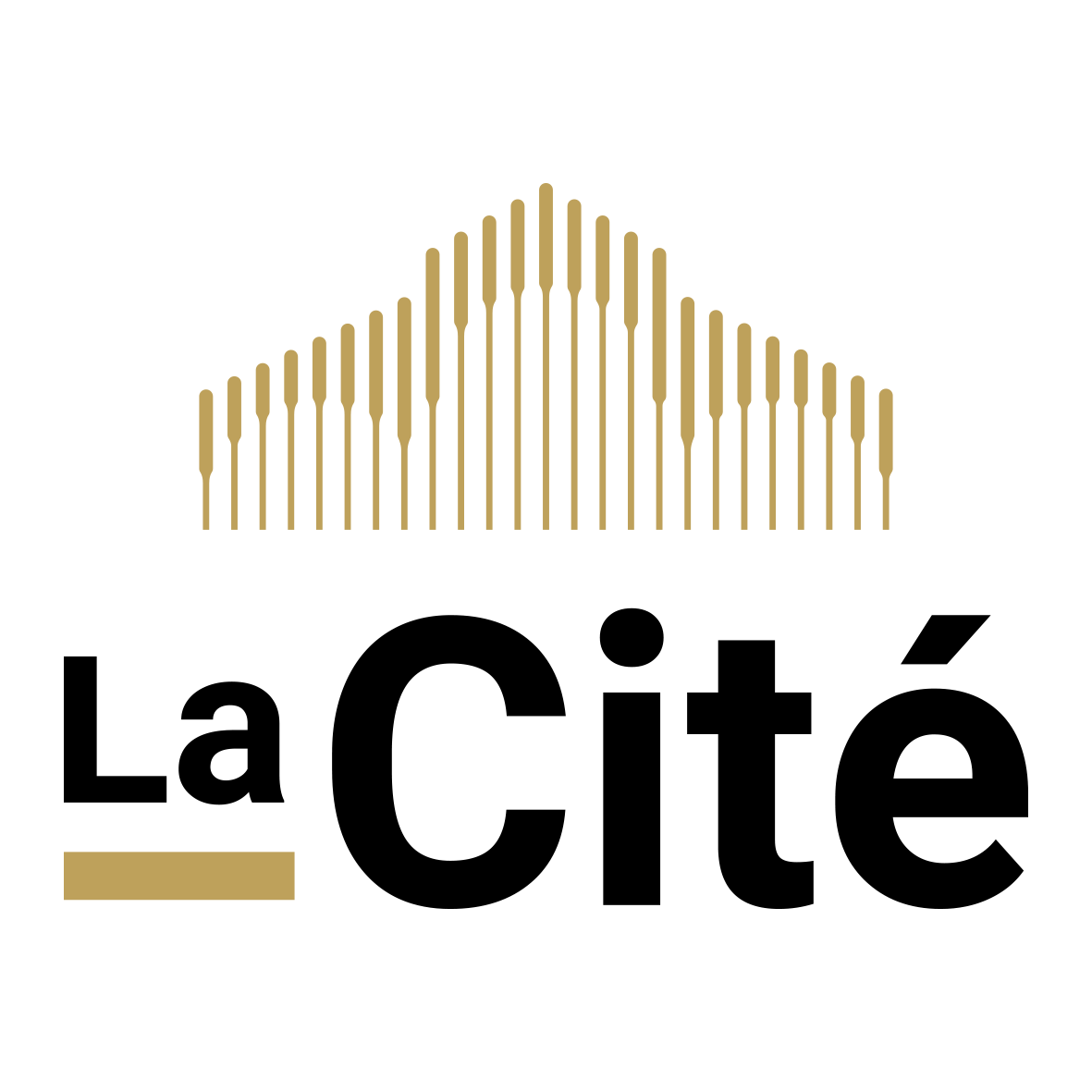 Logo Cite Vertical Coul